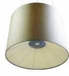 Люстра Favourite 1056-6p