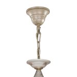 Люстра подвесная Favourite 1389-6P Irdener