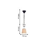 Подвесная люстра Favourite 1410-1P Accogliente