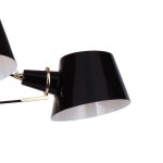 Люстра черная Favourite 1512-6P