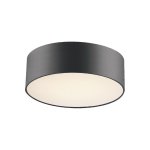 Потолочная люстра Favourite 1514-2C Cerchi