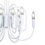 Подвесная люстра Favourite 1675-12P Drolling