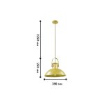 Люстра Favourite 1706-1P Bowl