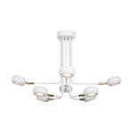 Люстра Favourite 1748-8U Ellisse