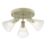 Потолочный светильник Favourite 1794-3U Gumbata