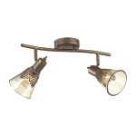 Потолочный светильник Favourite 1795-2U Gumbata