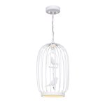 Подвесная люстра Favourite 1929-2P Chick