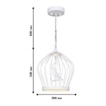 Подвесная люстра Favourite 1931-2P Chick