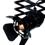 Люстра потолочная Favourite 2069-1U Limelight