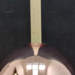 Подвесной светильник Favourite 2105-1P Pink Jazz