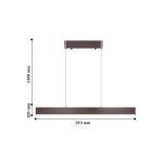 Люстра подвесная Favourite 2118-1P Officium