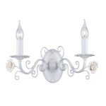 Настенный светильник Favourite 2134-2W Rosetta