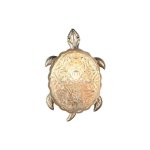 Настенный светильник "черепашка" Favourite 2256-1W Turtle