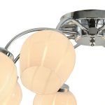 Потолочная люстра Favourite 2265-8U Florida