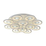 Потолочный светильник Favourite 2292-12U Roundels