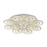 Потолочный светильник Favourite 2292-12U Roundels