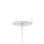 Люстра потолочная Favourite 2323-12U Duplex