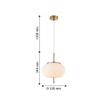 Подвесной светильник Favourite 2336-1P Beere