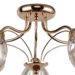 Потолочный светильник Favourite 2338-5U Galanta