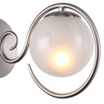 Настенный светильник Favourite 2349-1W Fabbio