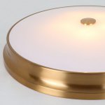 Потолочный светильник Favourite 2375-5C Pannikin