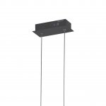 Подвесная люстра Favourite 2382-10P Carcass