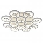 Потолочный светильник Favourite 2390-12U Ramus