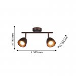 Потолочный светильник Favourite 2394-2U Allegra