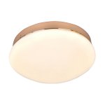 Потолочный светильник Favourite 2465-1C Ledante