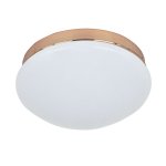 Потолочный светильник Favourite 2465-1C Ledante