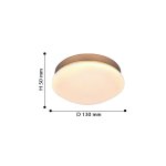 Потолочный светильник Favourite 2466-1C Ledante