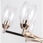 Люстра подвесная Favourite 2552-6P Elegia