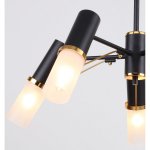 Потолочная люстра Favourite 2558-5P Viator