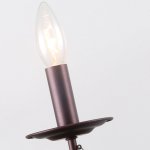 Настенный светильник Favourite 2590-1W Plini