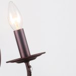 Настенный светильник Favourite 2590-2W Plini