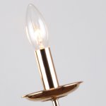 Настенный светильник Favourite 2591-1W Plini