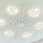 Потолочный светильник Favourite 2601-5C Incarnatio