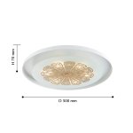 Потолочный светильник Favourite 2602-5C Incarnatio