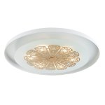 Потолочный светильник Favourite 2602-5C Incarnatio