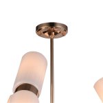 Люстра Favourite 2617-12P