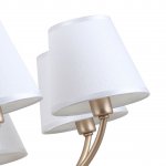 Подвесная люстра Favourite 2662-8P Utremia