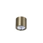 Потолочный светильник Favourite 2806-1C Deorsum