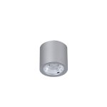 Потолочный светильник Favourite 2808-1C Deorsum