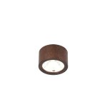 Потолочный светильник Favourite 2809-1U Deorsum