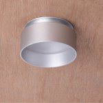 Врезной светильник Favourite 2884-1C Inserta