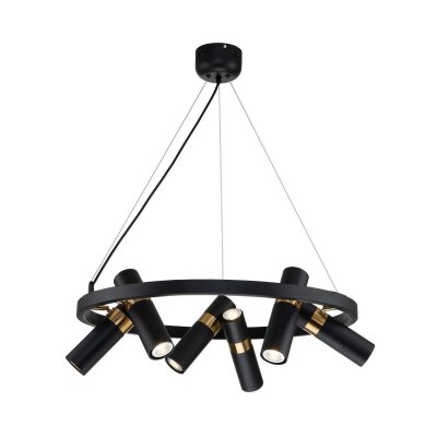 

Подвесная люстра Favourite 2997-6P Light point, 2997-6P