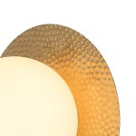 Настенный светильник Favourite 3050-1W Roshni