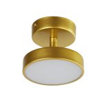 Потолочный светильник Favourite 3059-1P Atma