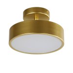 Потолочный светильник Favourite 3059-2P Atma