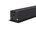 Потолочный светильник Favourite 3083-10C Roshni